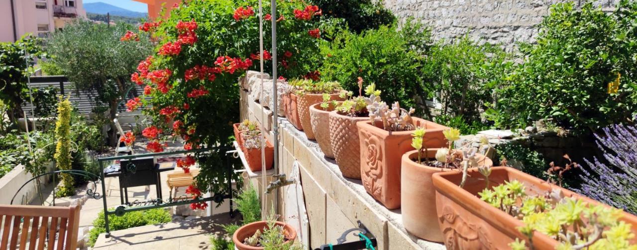 Apartment Alena With Terrace And Garden Center Jelsa Jelsa  Extérieur photo
