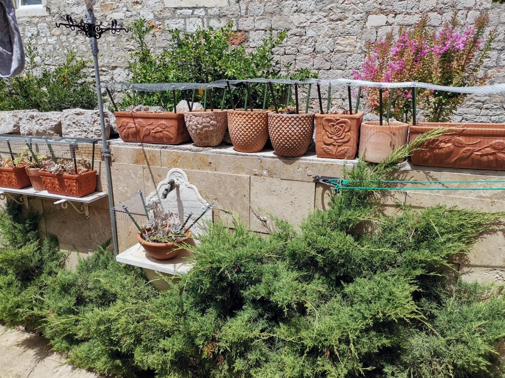 Apartment Alena With Terrace And Garden Center Jelsa Jelsa  Extérieur photo